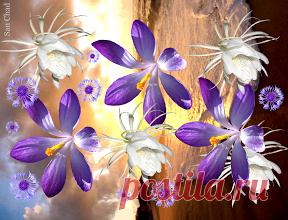 Альбом – Google+