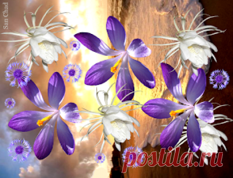 Альбом – Google+