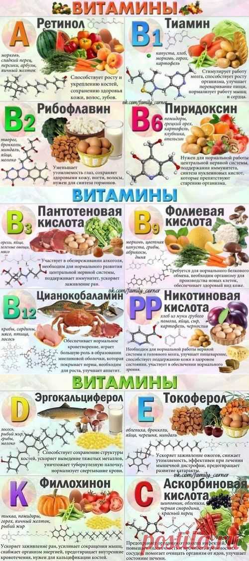 Витамины и их содержание в продуктах.