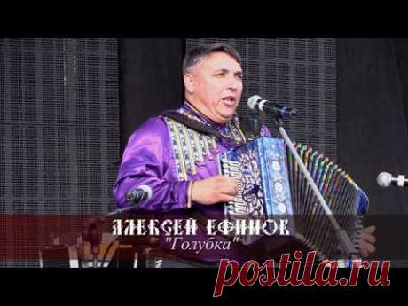 Алексей Ефимов - Голубка