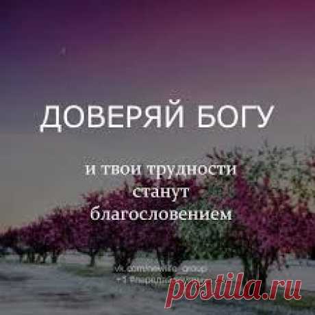 интересные фразы