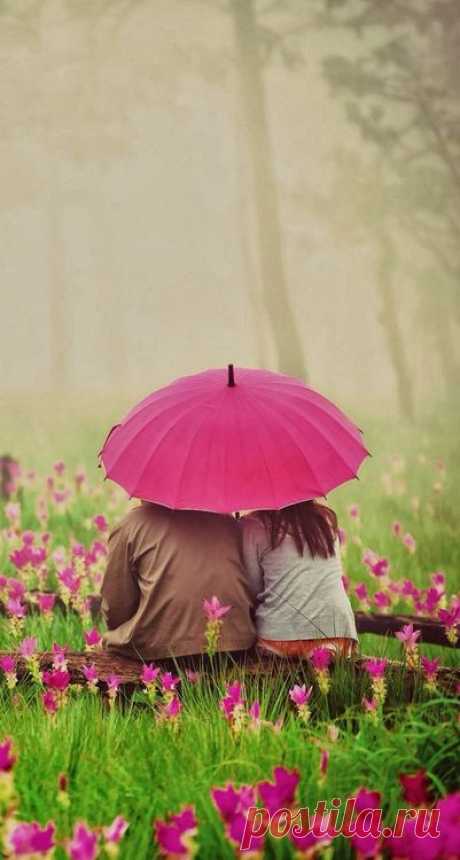 Spring rain...together | Rainy Days, Rainy Nights... | Дождь, Забавные фото и Красивые места