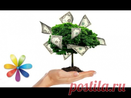 Привлекаем в дом богатство. | Познавательный сайт ,,1000 мелочей&quot;