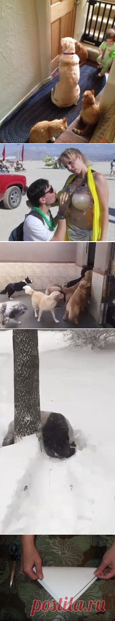 Одноклассники