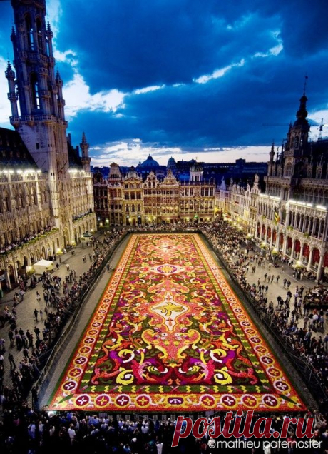 The Carpet of Flowers in Brussels, Belguim.