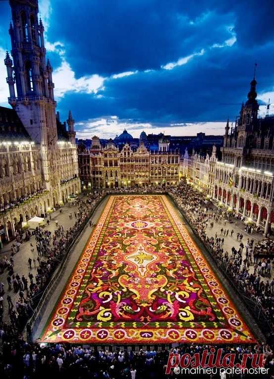 The Carpet of Flowers in Brussels, Belguim.