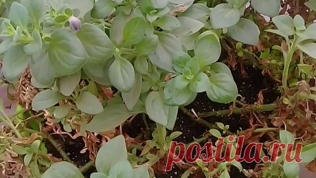 Что можно, а что и не нужно)))