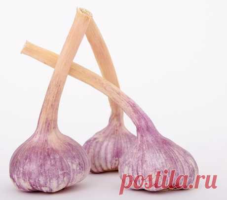 7 ПРОДУКТОВ, КОТОРЫЕ ОЧИЩАЮТ ОРГАНИЗМ ЛУЧШЕ ЛЮБЫХ ЛЕКАРСТВ