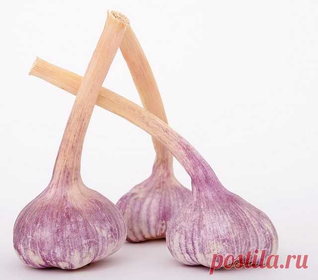 7 ПРОДУКТОВ, КОТОРЫЕ ОЧИЩАЮТ ОРГАНИЗМ ЛУЧШЕ ЛЮБЫХ ЛЕКАРСТВ