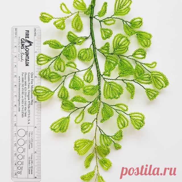 🇺🇸 Just found out that another name for #Adiantum is #MaidenhairFern. 🌿🌿🌿Thanks, @beadandblossomstudio! 😘❤
__________🖋
🇷🇺 Только что узнала, что второе название Адиантума - #КурчавыйПапоротник. 🌿🌿🌿 Спасибо, @beadandblossomstudio! 😘❤
📍
#Адиантум #АдиантумИзБисера #АдиантумРадди #АдиантумРаддиИзБисера #КурчавыйПапоротник #БисернаяФлористика #ФранцузскоеБисероплетение #РучнаяРабота #СветланаСапегина #ХудожникПоБисеру #СуперБисер #SuperБисер #SuperBiser #SuperBea...