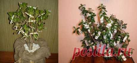 Подарки из денег своими руками. Как оформить подарок деньгами и какие слова поздравления к денежному подарку на свадьбу, день рождения, юбилей?