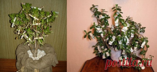 Подарки из денег своими руками. Как оформить подарок деньгами и какие слова поздравления к денежному подарку на свадьбу, день рождения, юбилей?