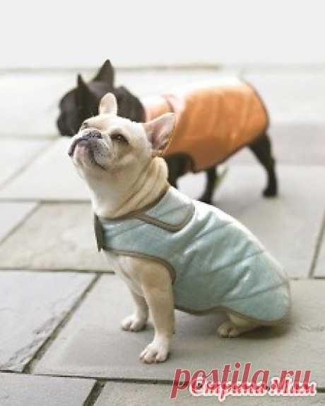 Попона для собаки + выкройка (длина спины 33 см) Http://www.marthastewart.com/265053/doggy-coats  РАЗМЕР : длина спины 33 см  ВЫКРОЙКА в формате PDF (можно распечатать в натуральную величину)  Основная деталь