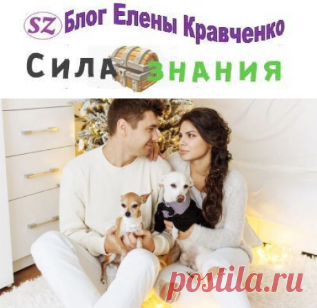 Подарки на Новый 2020 год для парня — недорогие и оригинальные