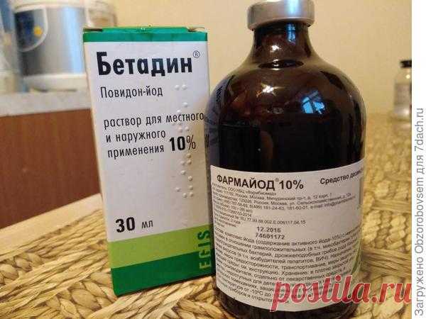 Йод и клубника: мифы и реальность!