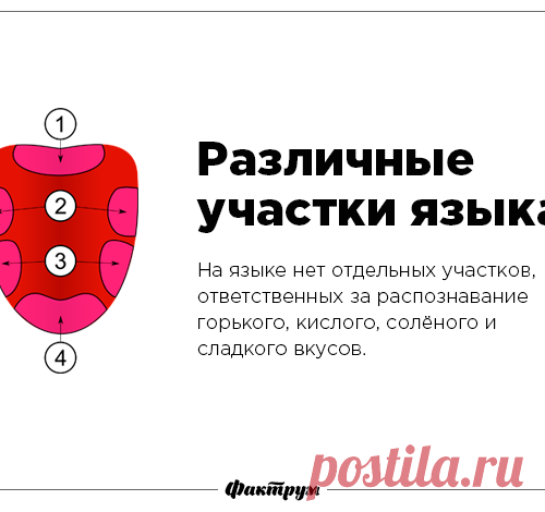 35 популярных «фактов», которые не имеют ничего общего с истиной