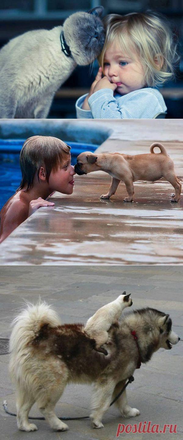 Лучшие друзья!