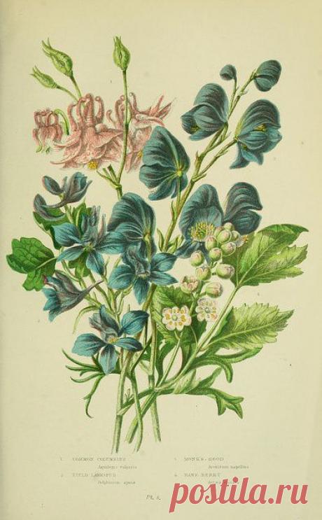 Найдено на сайте flickr.com.