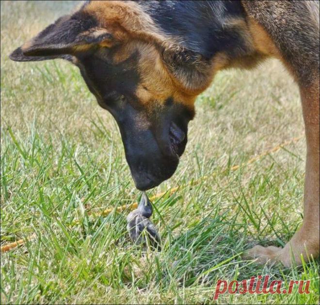 Отдыхаем с юмором