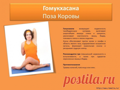 Йога в картинках на каждый день: омолаживающий, оздоровительный эффект