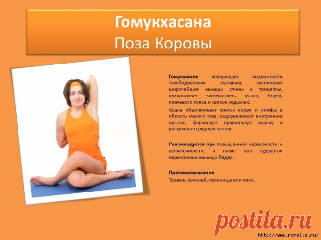 Йога в картинках на каждый день: омолаживающий, оздоровительный эффект