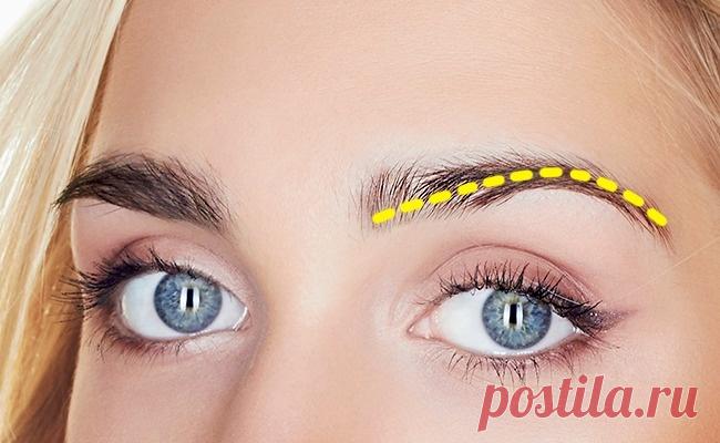 Скажите, какой формы ваши брови, а мы угадаем, какой у вас характер - Женская красота