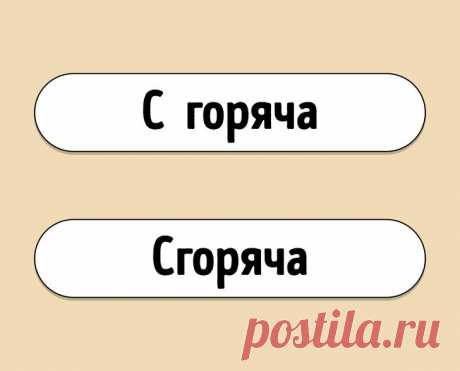 Локальный диктант: знаете ли вы, как пишутся эти наречия? / Научный хит
