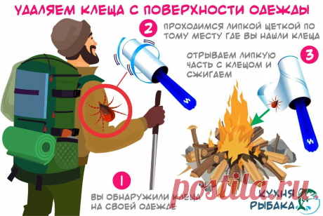 Рекомендация по извлечению весеннего клеща | Кухня рыбака | Яндекс Дзен