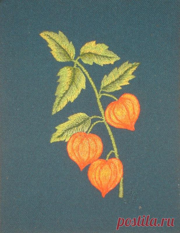 Яндекс.Фотки