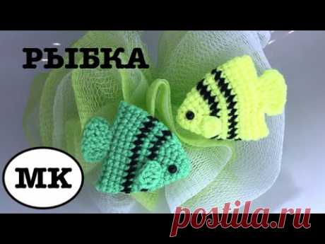 САМАЯ ЛЕГКАЯ РЫБКА КРЮЧКОМ. РЫБА-БАБОЧКА КРЮЧКОМ