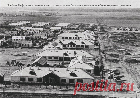 (7) Одноклассники