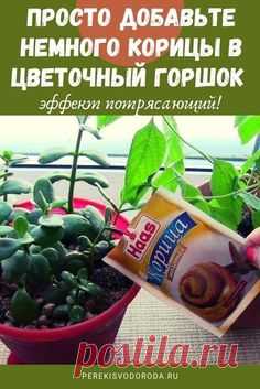 КОРИЦА-УДОБРЕНИЕ