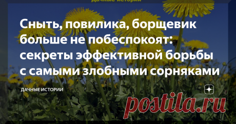 Сныть, повилика, борщевик больше не побеспокоят: секреты эффективной борьбы с самыми злобными сорняками Статья автора «Дачные истории» в Дзене ✍: Добрый день, дорогие друзья, садоводы и огородники! Приветствую вас в нашем сообществе "Дачные истории".