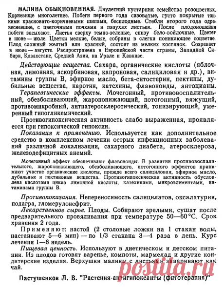 Малина обыкновенная