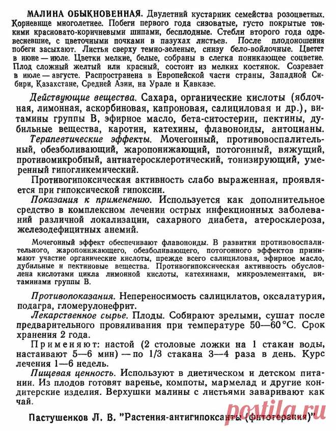 Малина обыкновенная