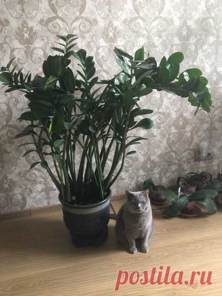 Какой я маленький...