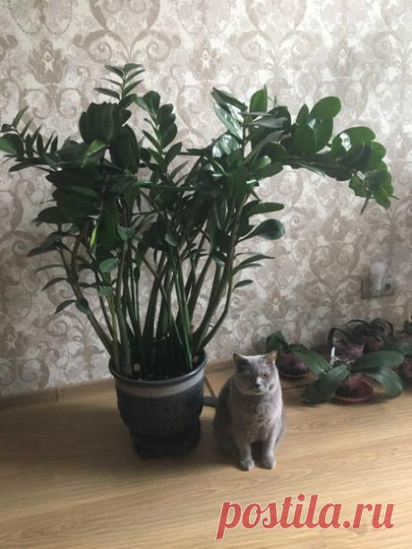 Какой я маленький...