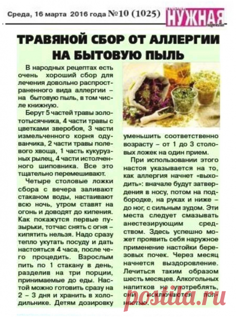 Травяной сбор от аллергии на бытовую пыль
