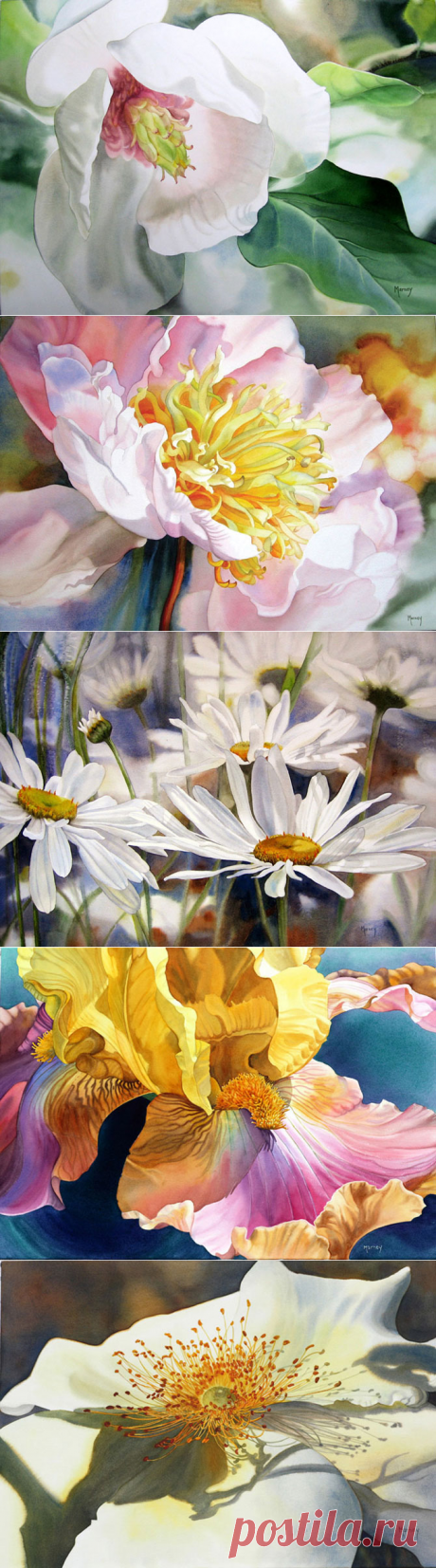 Цветочные акварели от Марни Вард (Marney Ward)
