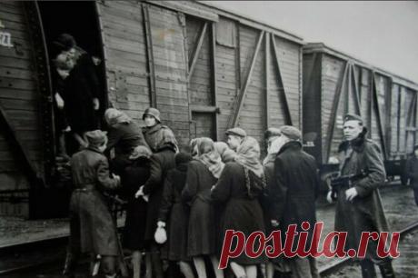 Зачем немцы увозили жителей СССР в Германию, и Что стало с угнанными граждами СССР после войны В начале 1942 года немецкое руководство поставило себе целью вывезти (а правильнее будет сказать «угнать», увезти насильно) 15 млн жителей СССР – будущих рабов. Для фашистов эта была вынужденная мера, на которую они согласились скрепя зубы, ведь присутствие граждан СССР оказывало бы разлагающее идеологическое влияние на местное население. Немцы были вынуждены искать дешевую рабоч...