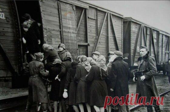 Зачем немцы увозили жителей СССР в Германию, и Что стало с угнанными граждами СССР после войны В начале 1942 года немецкое руководство поставило себе целью вывезти (а правильнее будет сказать «угнать», увезти насильно) 15 млн жителей СССР – будущих рабов. Для фашистов эта была вынужденная мера, на которую они согласились скрепя зубы, ведь присутствие граждан СССР оказывало бы разлагающее идеологическое влияние на местное население. Немцы были вынуждены искать дешевую рабоч...