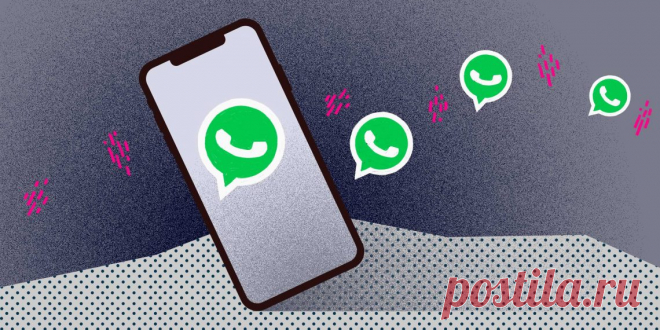 10 полезных советов для каждого пользователя WhatsApp - Лайфхакер