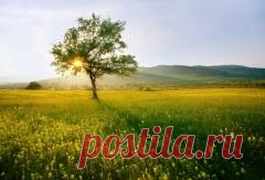 1 марта отмечается 