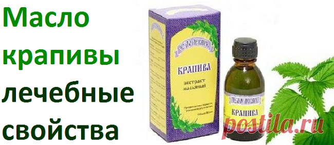 Масло крапивы, лечебные свойства | Советы целительницы