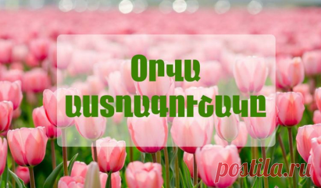 Orva astxagushak 2017 noyemberi 13-i hamar – Астхагушак ⋆ HAYEROV TV
