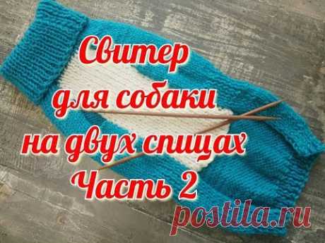 Свитер для собаки на двух спицах, часть 2