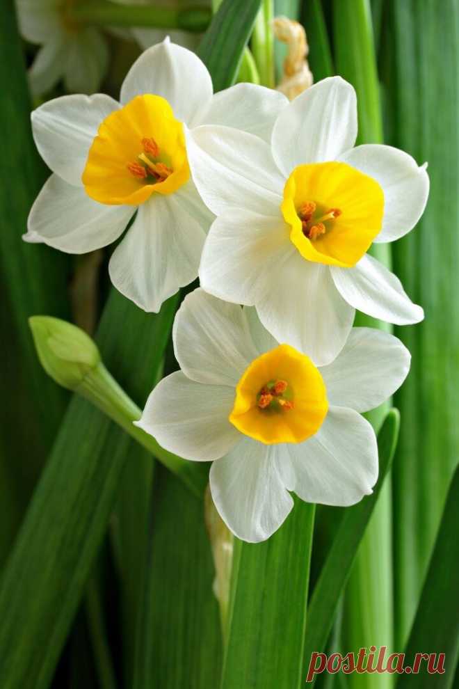 i (720×1080)