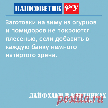 Как избежать появления плесени на солёных огурцах и помидорах. Об этом нужно позаботится заранее. Вот простой способ.