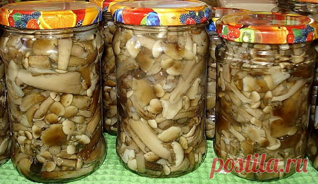 ОТМЕННЫЕ ГРИБЫ! МАРИНОВАННЫЕ ОПЯТА