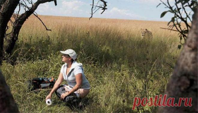 35 улётных фото, сделанных за секунду до — Все для души